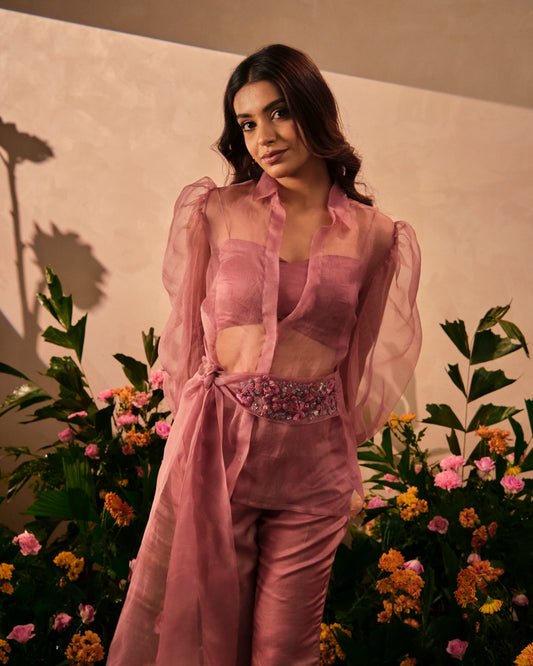 Orchid Muse